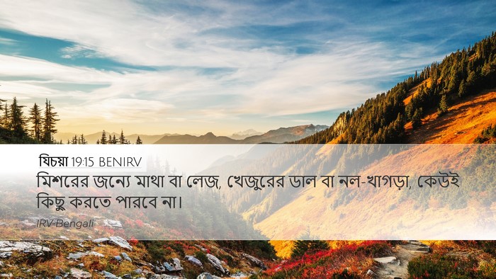 যিচয়া 19:15 BENIRV Bible Verse Image