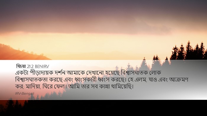 যিচয়া 21:2 BENIRV Bible Verse Image