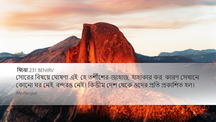 যিচয়া 23:1 BENIRV Bible Verse Image
