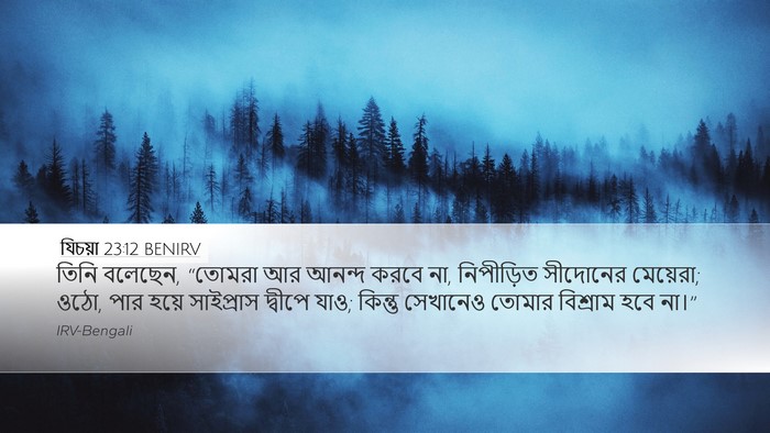 যিচয়া 23:12 BENIRV Bible Verse Image