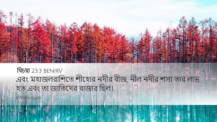যিচয়া 23:3 BENIRV Bible Verse Image