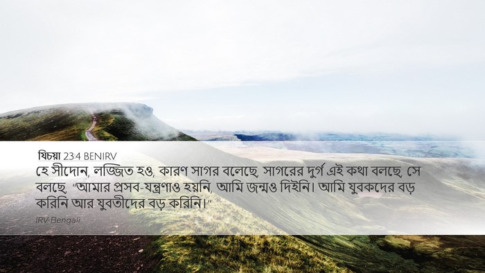 যিচয়া 23:4 BENIRV Desktop Wallpaper - হে সীদোন, লজ্জিত - Desktop Bible Verse Wallpaper