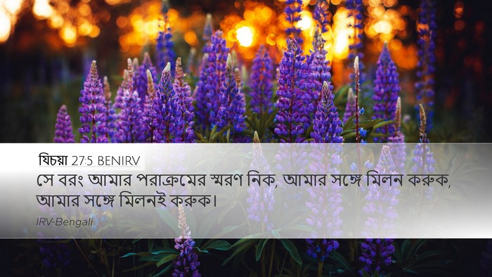 যিচয়া 27:5 BENIRV Bible Verse Image