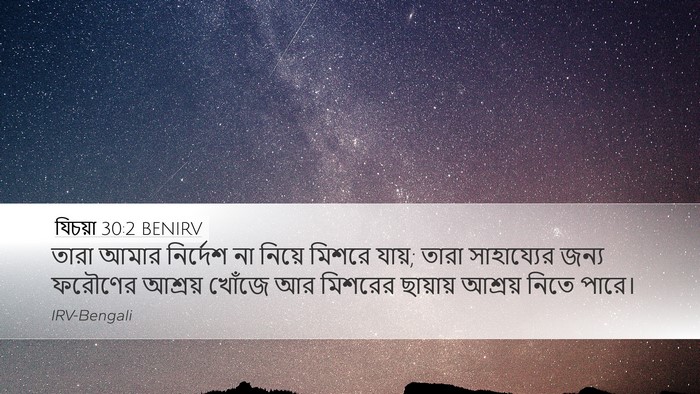 যিচয়া 30:2 BENIRV Bible Verse Image