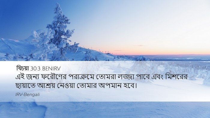 যিচয়া 30:3 BENIRV Bible Verse Image