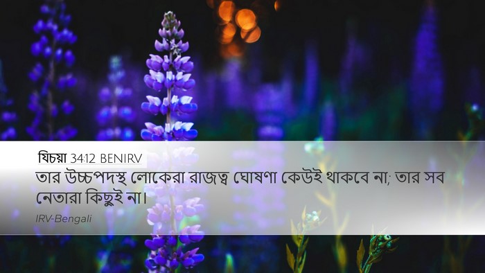 যিচয়া 34:12 BENIRV Bible Verse Image