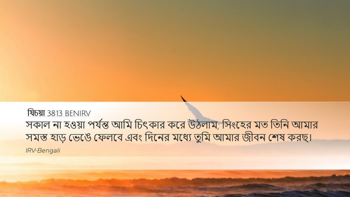 যিচয়া 38:13 BENIRV Bible Verse Image