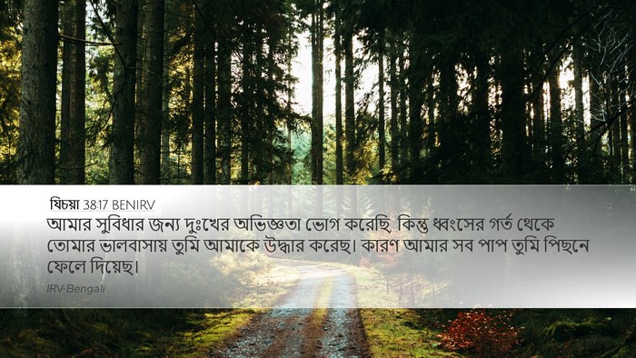যিচয়া 38:17 BENIRV Bible Verse Image