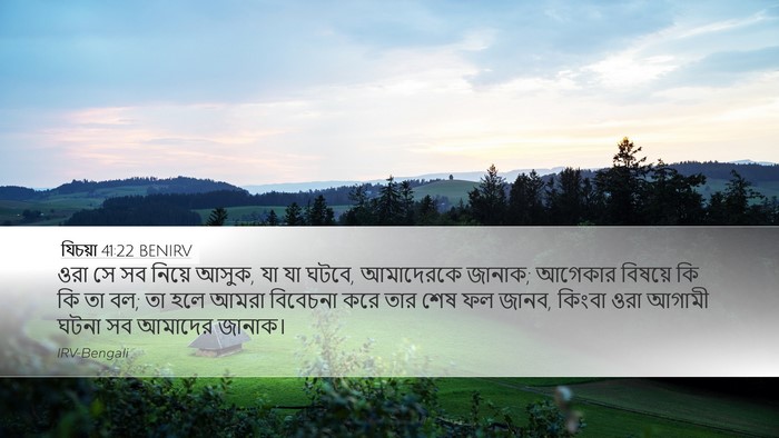 যিচয়া 41:22 BENIRV Bible Verse Image