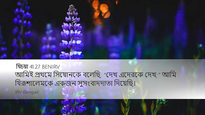 যিচয়া 41:27 BENIRV Bible Verse Image