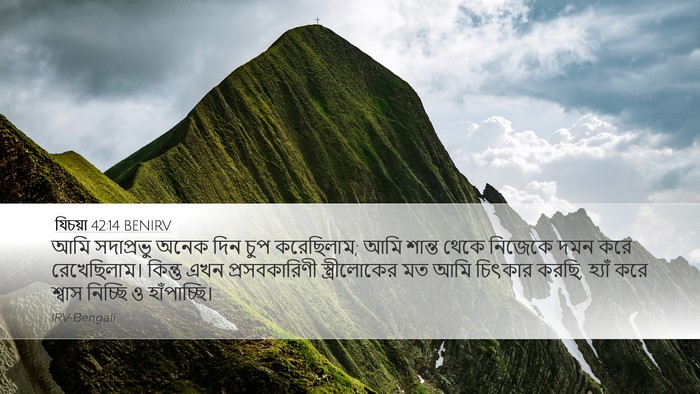 যিচয়া 42:14 BENIRV Bible Verse Image