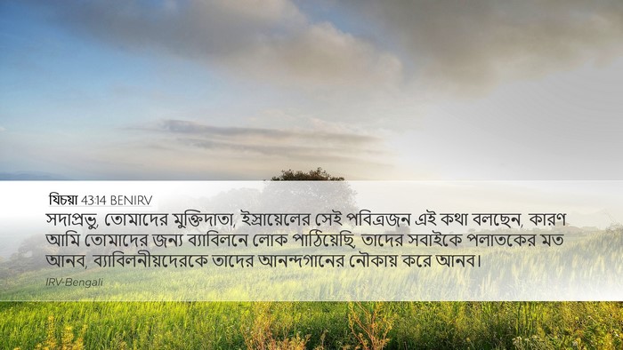 যিচয়া 43:14 BENIRV Bible Verse Image