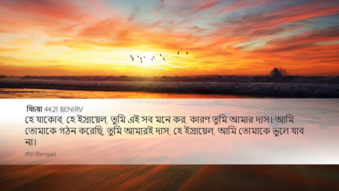 যিচয়া 44:21 BENIRV Bible Verse Image