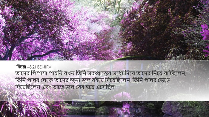 যিচয়া 48:21 BENIRV Bible Verse Image