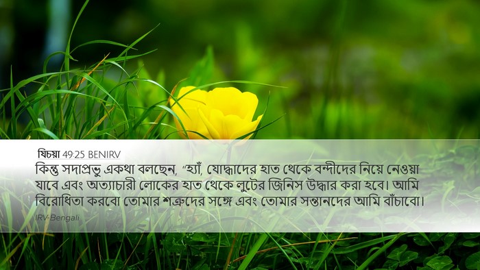 যিচয়া 49:25 BENIRV Bible Verse Image