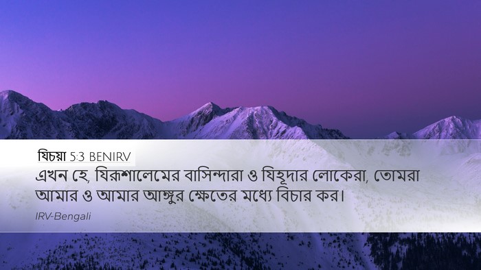 যিচয়া 5:3 BENIRV Bible Verse Image