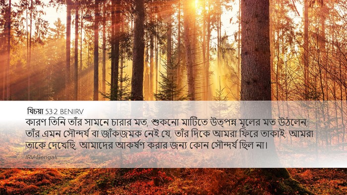 যিচয়া 53:2 BENIRV Bible Verse Image