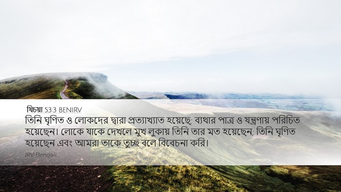 যিচয়া 53:3 BENIRV Bible Verse Image