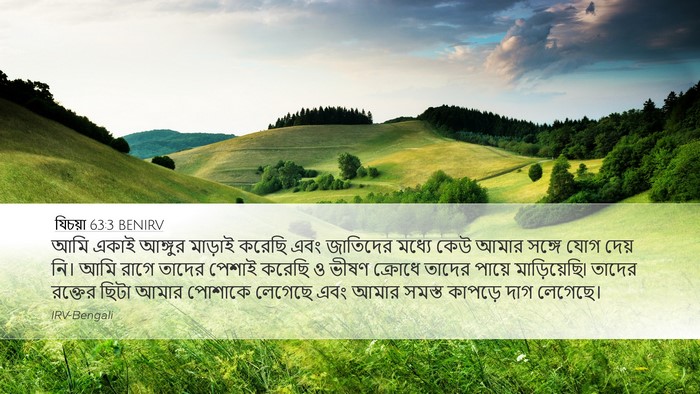 যিচয়া 63:3 BENIRV Bible Verse Image