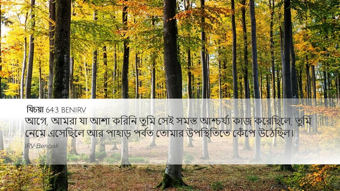 যিচয়া 64:3 BENIRV Bible Verse Image