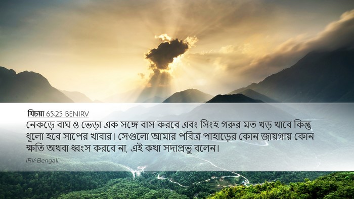 যিচয়া 65:25 BENIRV Bible Verse Image