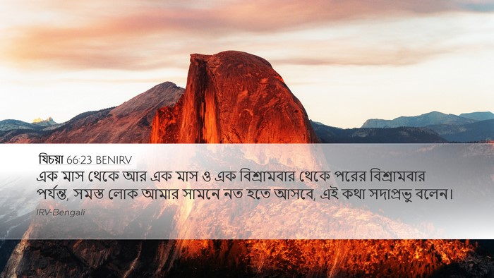যিচয়া 66:23 BENIRV Bible Verse Image