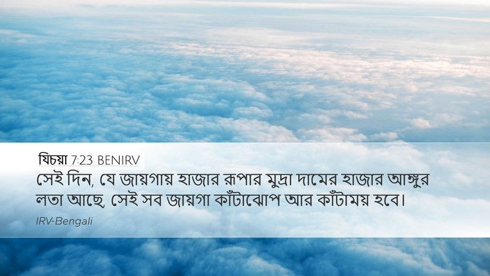 যিচয়া 7:23 BENIRV Bible Verse Image