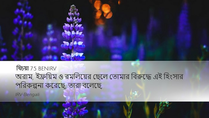 যিচয়া 7:5 BENIRV Bible Verse Image