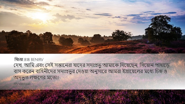 যিচয়া 8:18 BENIRV Bible Verse Image