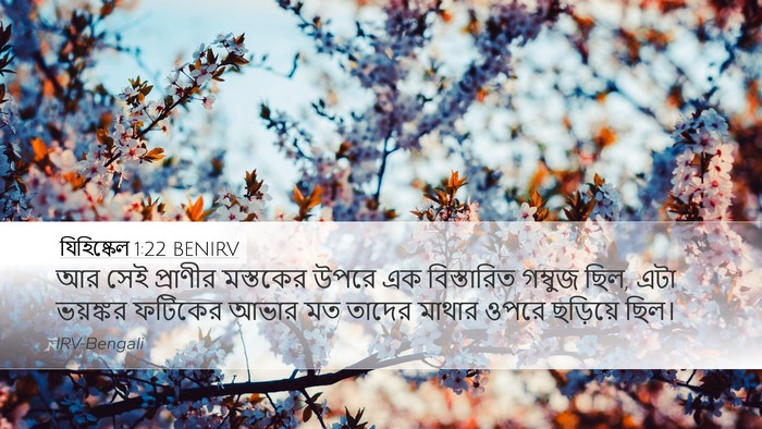 যিহিষ্কেল 1:22 BENIRV Bible Verse Image