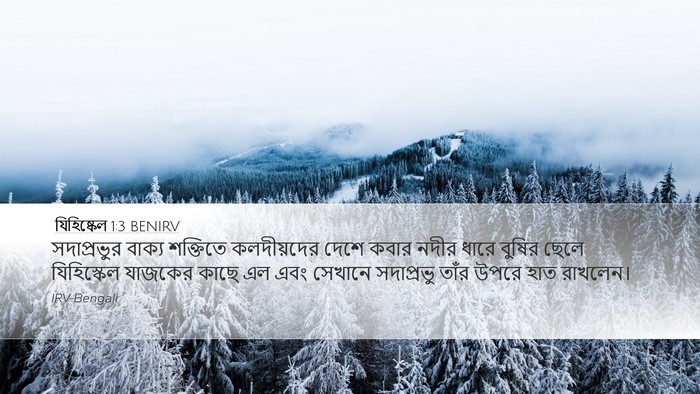 যিহিষ্কেল 1:3 BENIRV Bible Verse Image