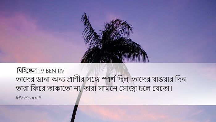যিহিষ্কেল 1:9 BENIRV Bible Verse Image