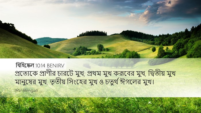 যিহিষ্কেল 10:14 BENIRV Bible Verse Image