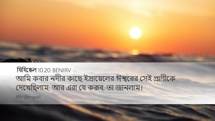 যিহিষ্কেল 10:20 BENIRV Bible Verse Image