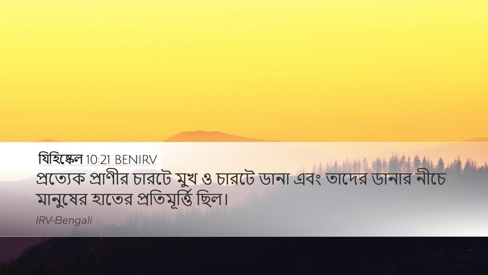 যিহিষ্কেল 10:21 BENIRV Bible Verse Image