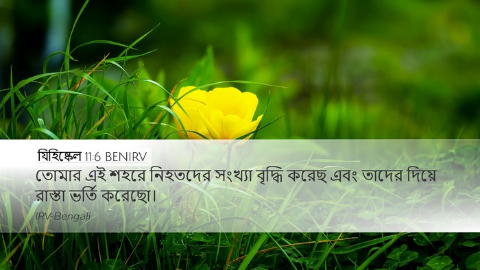 যিহিষ্কেল 11:6 BENIRV Bible Verse Image