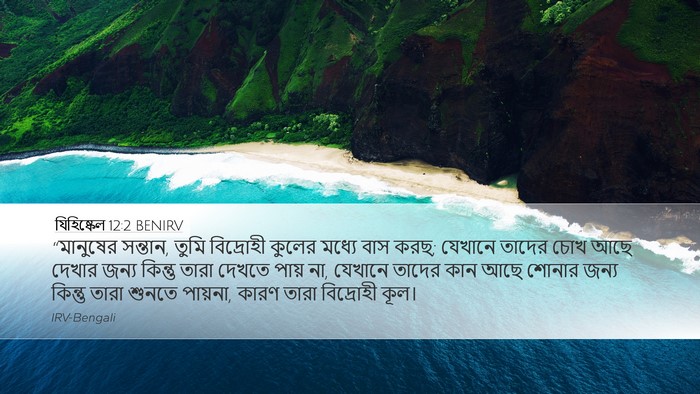 যিহিষ্কেল 12:2 BENIRV Bible Verse Image