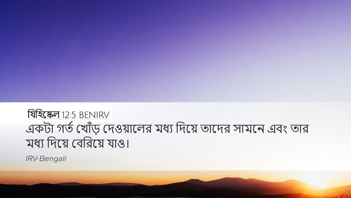 যিহিষ্কেল 12:5 BENIRV Bible Verse Image