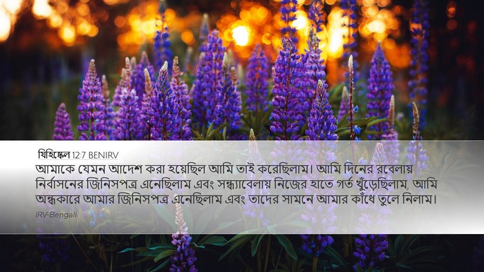 যিহিষ্কেল 12:7 BENIRV Desktop Wallpaper - আমাকে যেমন আদেশ - Desktop Bible Verse Wallpaper