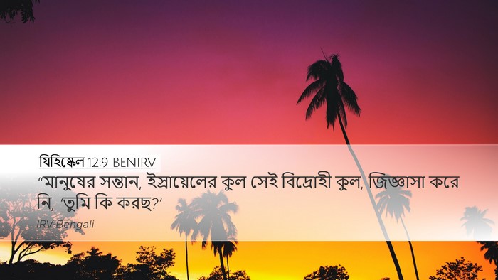 যিহিষ্কেল 12:9 BENIRV Bible Verse Image