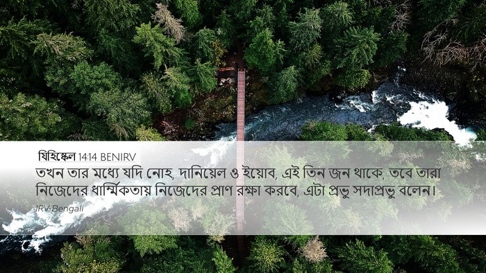 যিহিষ্কেল 14:14 BENIRV Bible Verse Image