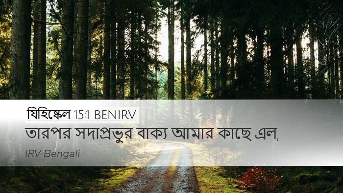 যিহিষ্কেল 15:1 BENIRV Desktop Wallpaper - তারপর সদাপ্রভুর - Desktop Bible Verse Wallpaper