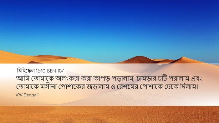 যিহিষ্কেল 16:10 BENIRV Bible Verse Image