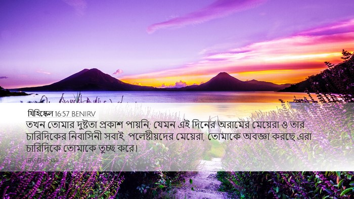 যিহিষ্কেল 16:57 BENIRV Bible Verse Image