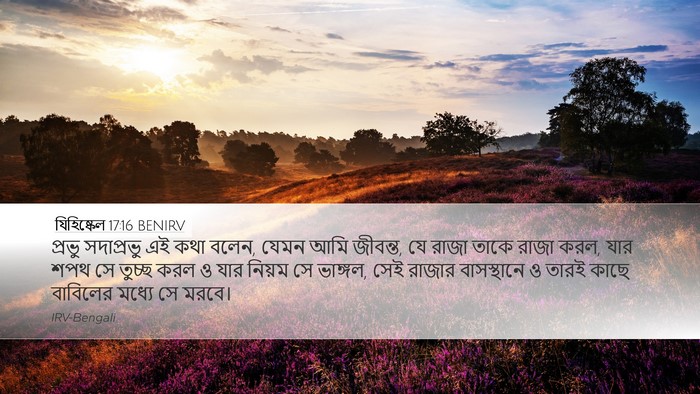 যিহিষ্কেল 17:16 BENIRV Bible Verse Image
