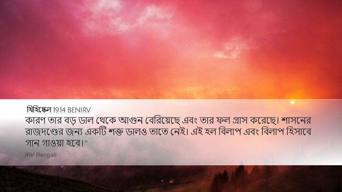 যিহিষ্কেল 19:14 BENIRV Bible Verse Image