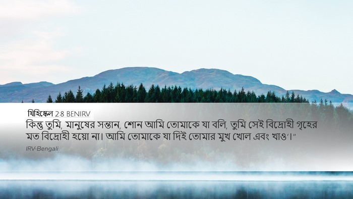 যিহিষ্কেল 2:8 BENIRV Bible Verse Image