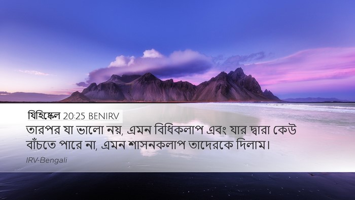 যিহিষ্কেল 20:25 BENIRV Bible Verse Image