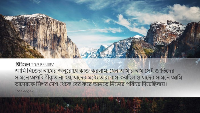 যিহিষ্কেল 20:9 BENIRV Bible Verse Image