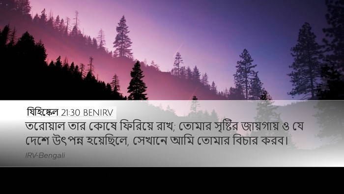 যিহিষ্কেল 21:30 BENIRV Bible Verse Image